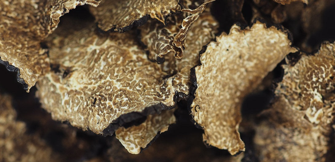 HISTOIRE ET ORIGINE DE LA TRUFFE