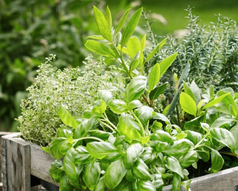 LES ASSOCIATIONS GUSTATIVES ORIGINALES DE L’ÉTÉ À TESTER CHEZ SOI